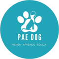 Pae Dog , Piensa - Aprende - Educa . El bienestar físico y mental de tu perro es nuestra prioridad. Servicios de educación.
